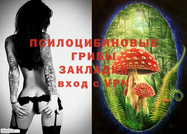 гидра Алексин