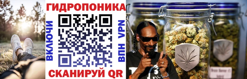 Бошки Шишки сатива  shop телеграм  Андреаполь  закладка 